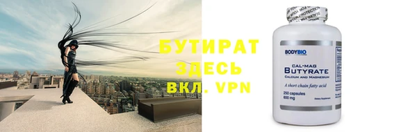 индика Инта