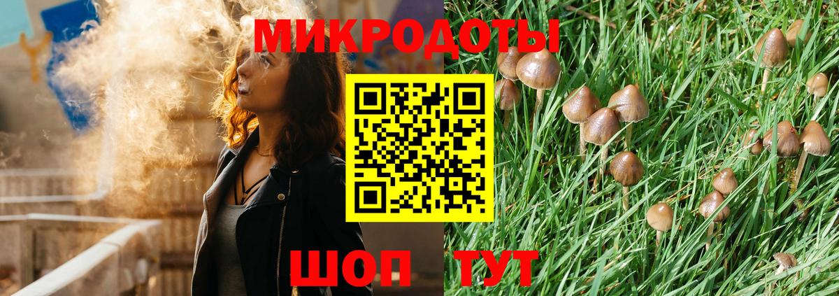 Псилоцибиновые грибы мицелий Саранск