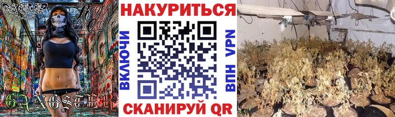 магазин    Саранск  Канабис сатива 